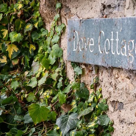 Dove * Near Sawrey